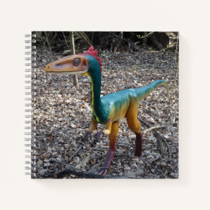 Niedliches farbiges Dinosaurier-Quadrat-Notebook Notizbuch