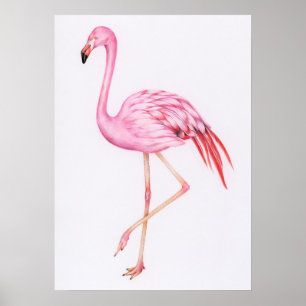 Niedliches Flamingo Zeichnend Poster