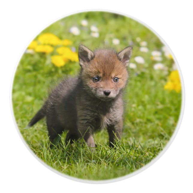 Niedliches flauschiges Red Fox Cub Wild Baby - dek Keramikknauf (Vorderseite)