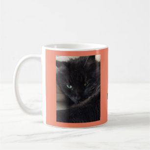 Niedliches Fluffy Black Cat Foto Personalisiert Kaffeetasse
