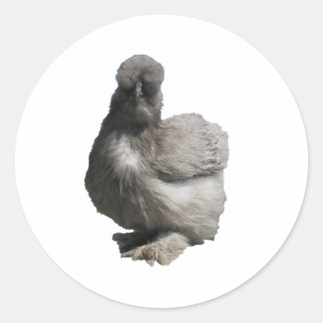 Niedliches Fluffy Blue Silkie Chicken Runder Aufkleber (Vorderseite)