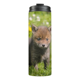 Niedliches Fluffy Red Fox Cub Wild Baby Animal Fot Thermosbecher