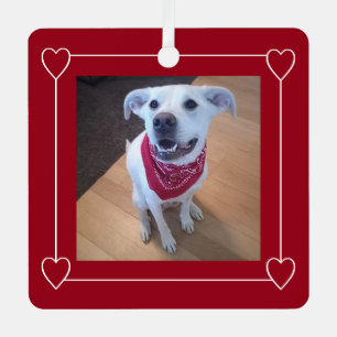 Niedliches Foto des Hundes Lächeln Rot und Weiß We Ornament Aus Metall