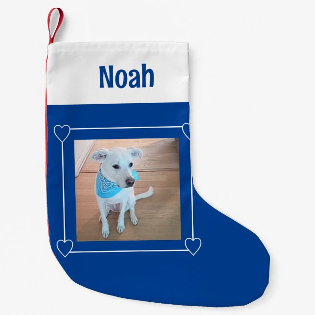 Niedliches Foto des süßen Welpenhundes Blau und We Kleiner Weihnachtsstrumpf (Vorderseite)