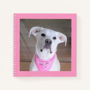 Niedliches Foto des weißen Hundes mit rosa Scarf Notizbuch