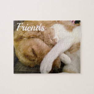 niedliches Foto "Friends" Katze und Hund schlafen: Puzzle