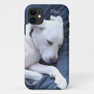 Niedliches Foto von Sweet White Labrador Mix Dog N Case-Mate iPhone Hülle