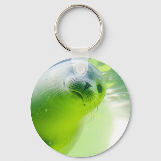 Niedliches freundliches Siegel Unterwasser Schlüsselanhänger (Vorderseite)