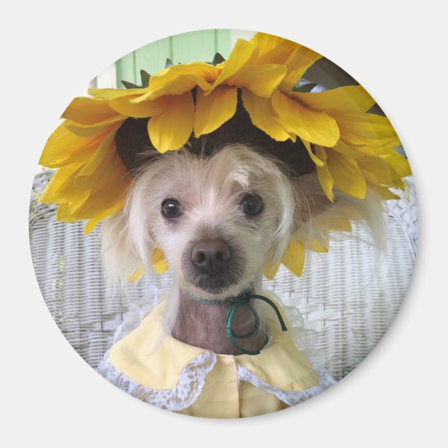 Niedliches Funny Chinese Creppy Dog Magnet  (Vorne)