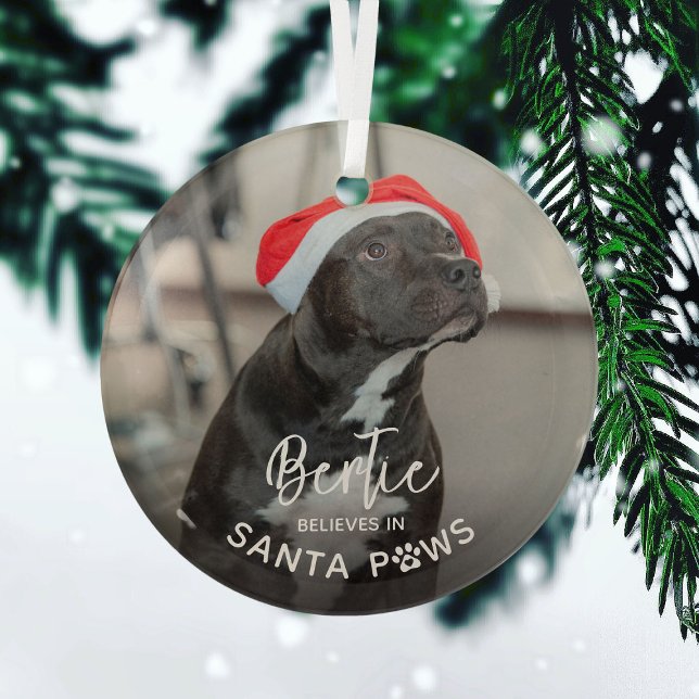 Niedliches Funny Dog Foto "Glaube an die Santa Paw Ornament Aus Glas (Von Creator hochgeladen)