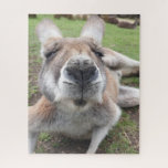 Niedliches Funny Face Kangaroo Pädagogik Tierische Puzzle<br><div class="desc">Cute Funny Face Kangaroo Australian Animal Foto jigsaw puzzle</div>
