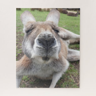Niedliches Funny Face Kangaroo Pädagogik Tierische Puzzle