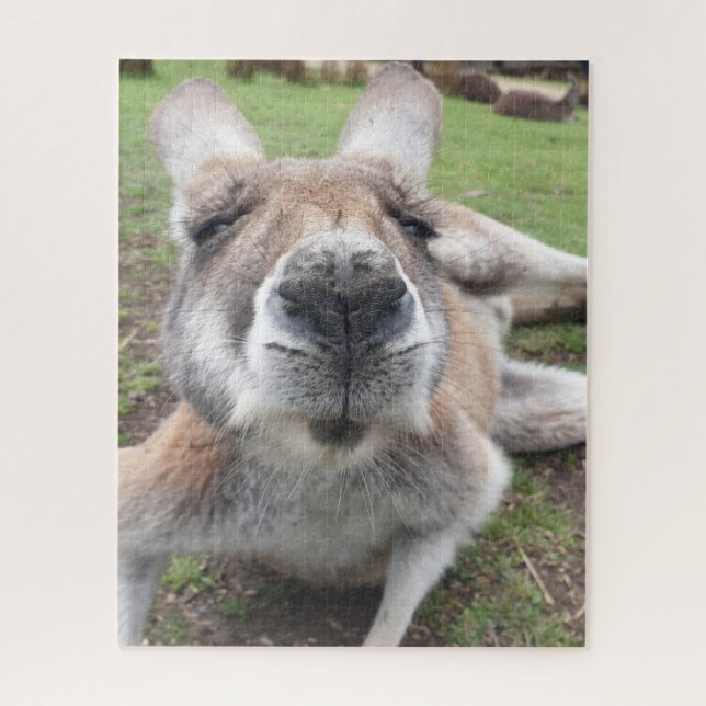 Niedliches Funny Face Kangaroo Pädagogik Tierische Puzzle (Vertikal)
