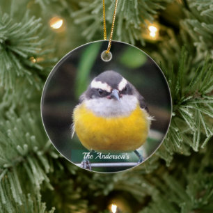 Niedliches Gelbes BrustvogelFoto Personalisiert Keramik Ornament