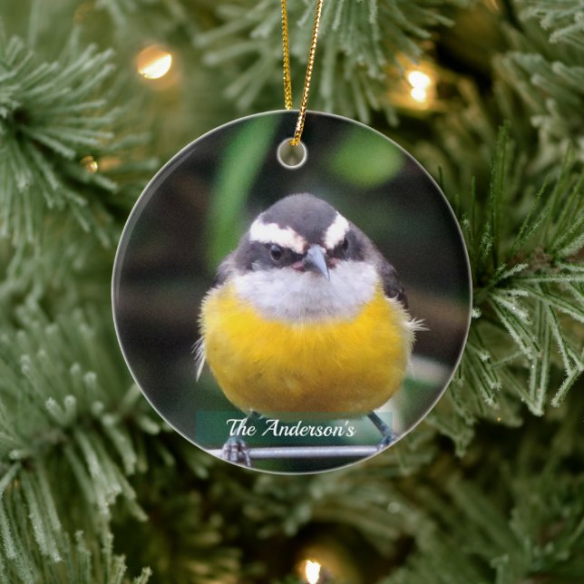 Niedliches Gelbes BrustvogelFoto Personalisiert Keramik Ornament (Baum)