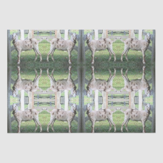 Niedliches Gepunktetes Papierpapier für das Gewebe Seidenpapier (Vorderseite)