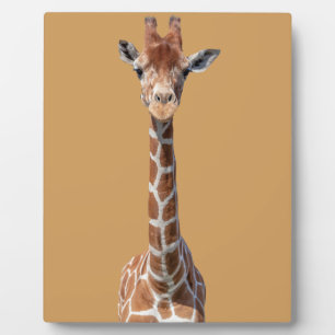 Niedliches Giraffengesicht Fotoplatte
