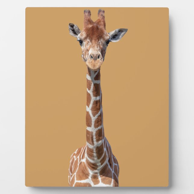 Niedliches Giraffengesicht Fotoplatte (Vorderseite)