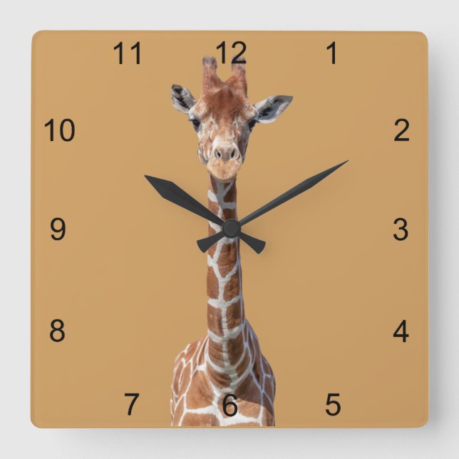 Niedliches Giraffengesicht Quadratische Wanduhr (Vorderseite)