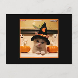 Niedliches glückliches Halloween Kätzchen und Hexe Postkarte
