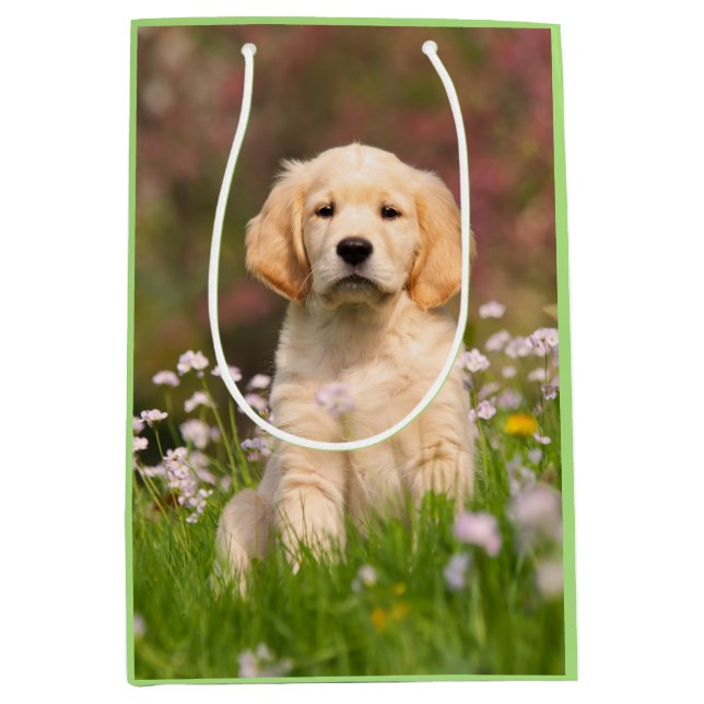 Niedliches Golden Retriever Hund Welpen Face Anima Mittlere Geschenktüte (Vorderseite)