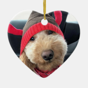 Niedliches Goldendoodle im Weihnachtsgeschäft Keramik Ornament