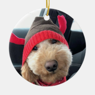 Niedliches Goldendoodle im Weihnachtsgeschäft Keramik Ornament