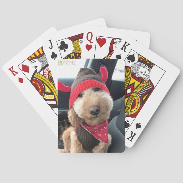 Niedliches Goldendoodle im Weihnachtsgeschäft Spielkarten (Rückseite)