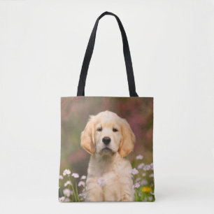 Niedliches goldener Retriever-Hundewelpen-Foto -