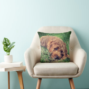 Niedliches Goldenes Doodle Kissen