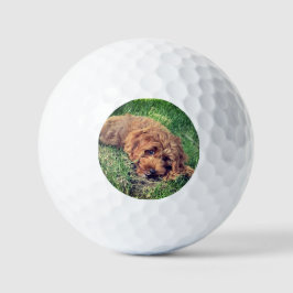 Niedliches goldenes Doodle mit Text Golfball