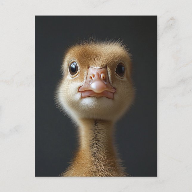 Niedliches Gosling-Portrait Postkarte (Vorderseite)