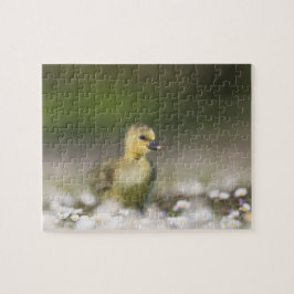 Niedliches Gosling Wildlife Foto Puzzle