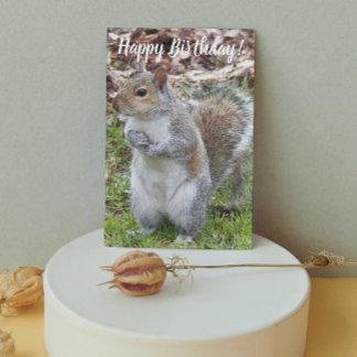 Niedliches graues Eichhörnchen Funny Geburtstag Karte