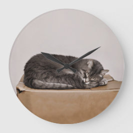 Niedliches graues Tabby - Katzen - Schlafen Große Wanduhr