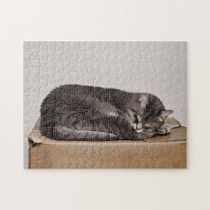 Niedliches graues Tabby - Katzen - Schlafen Puzzle