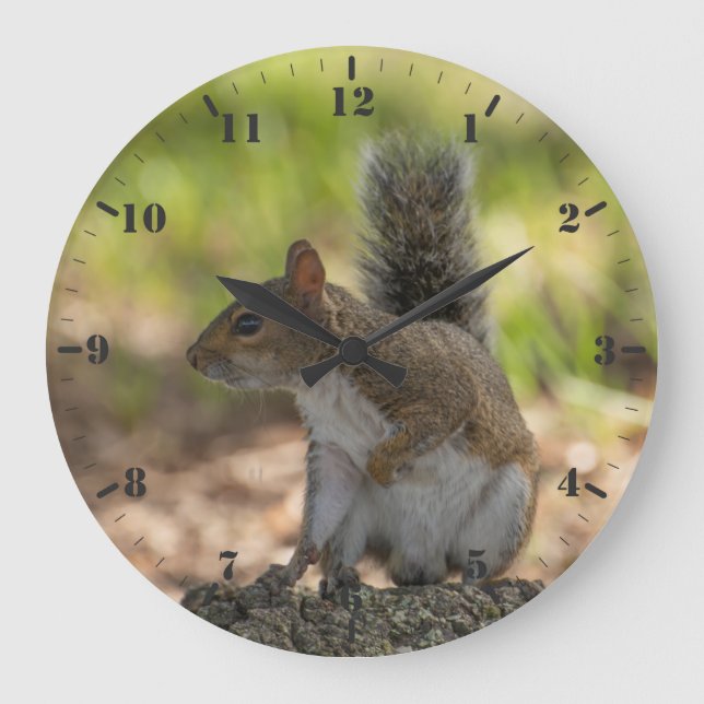 Niedliches Grauhörnchen Große Wanduhr (Vorderseite)