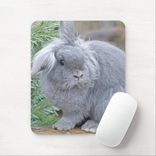 Niedliches Graukaninchen Mousepad