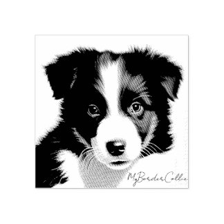 Niedliches Grenz-Collie-Welpenportrait Pet Keepake Gummistempel
