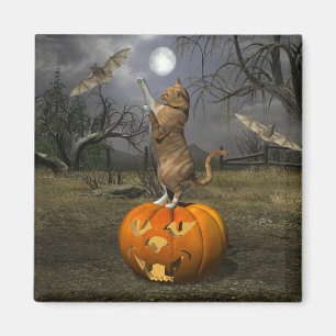 Niedliches Halloween-Orange-Katzen-Batzen Magnet