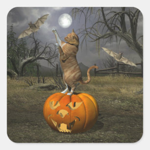 Niedliches Halloween-Orange-Katzen-Batzen Quadratischer Aufkleber