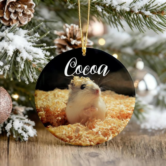 Niedliches Hamstergeschenk für Hamsterliebhaber Keramik Ornament (Von Creator hochgeladen)