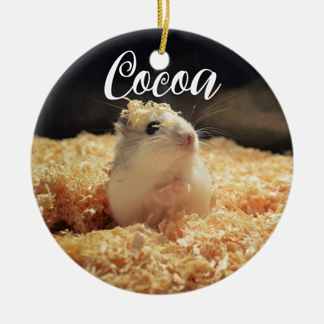 Niedliches Hamstergeschenk für Hamsterliebhaber Keramik Ornament (Vorne)