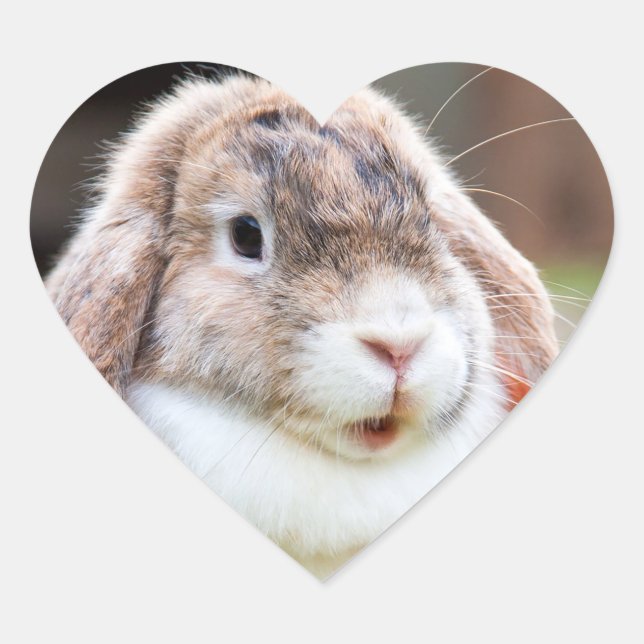 Niedliches Hasen Herz-Aufkleber (Vorderseite)