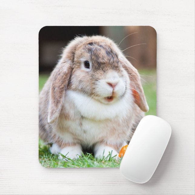 Niedliches Hasen Mousepad (Mit Mouse)