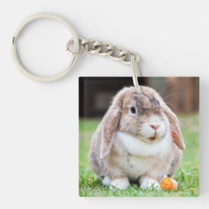 Niedliches Hasen Schlüsselanhänger