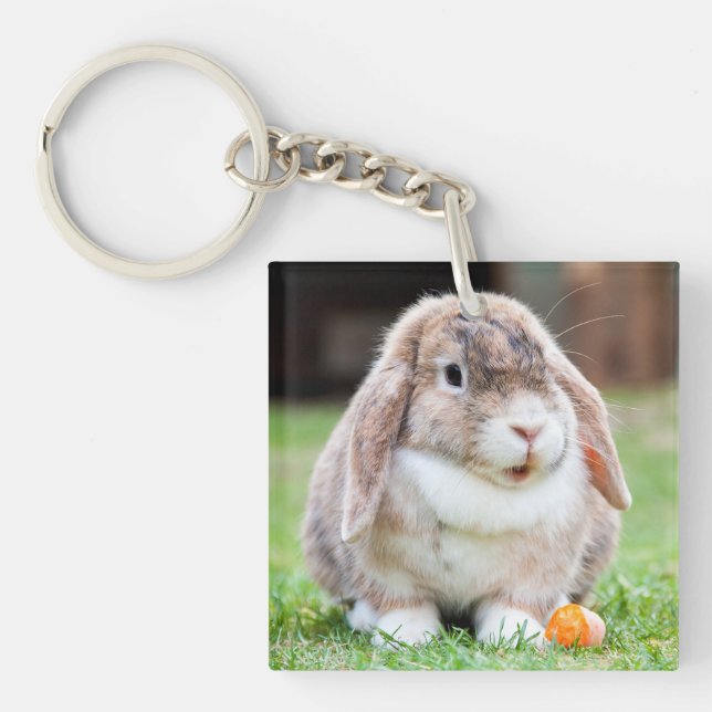 Niedliches Hasen Schlüsselanhänger (Vorderseite)