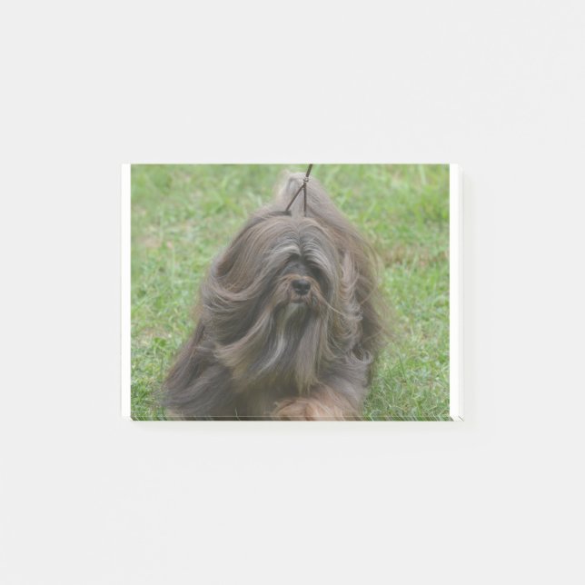 Niedliches Havanese Post-it Klebezettel (Vorderseite)