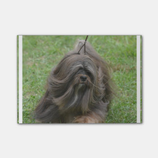 Niedliches Havanese Post-it Klebezettel