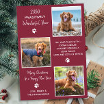 Niedliches Heimtierjahr bei Red Dog Foto Collage Feiertagskarte<br><div class="desc">Die neue Kollektion von Ferienkarten, die sich perfekt für Tierliebhaber und Haustierbesitzer eignet! Unsere "Pawsively Wonderful Year"-Karten zeigen Ihre wütenden Familienmitglieder auf niedliche, moderne und lustige Art und Weise. Diese Karten sind stilvoll und feierlich, mit einer Foto-Collage Ihrer Haustiere das ganze Jahr über. Unsere Karten sind so konzipiert, dass die...</div>